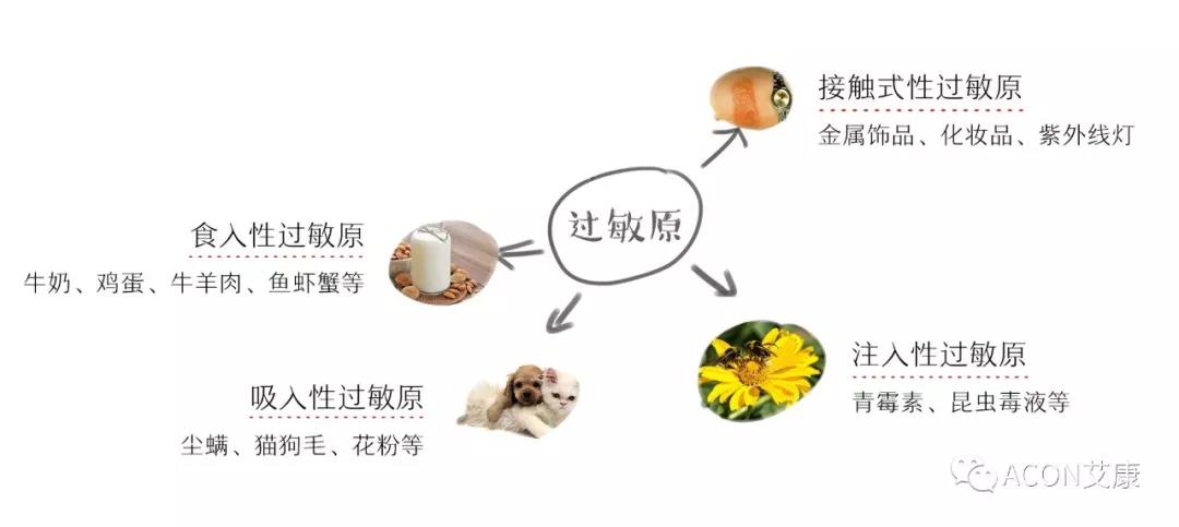 APAAACI 2019 | 深入解讀過敏原：從診斷到治療，優(yōu)化過敏原診斷管理——艾康生物過敏原檢測分會