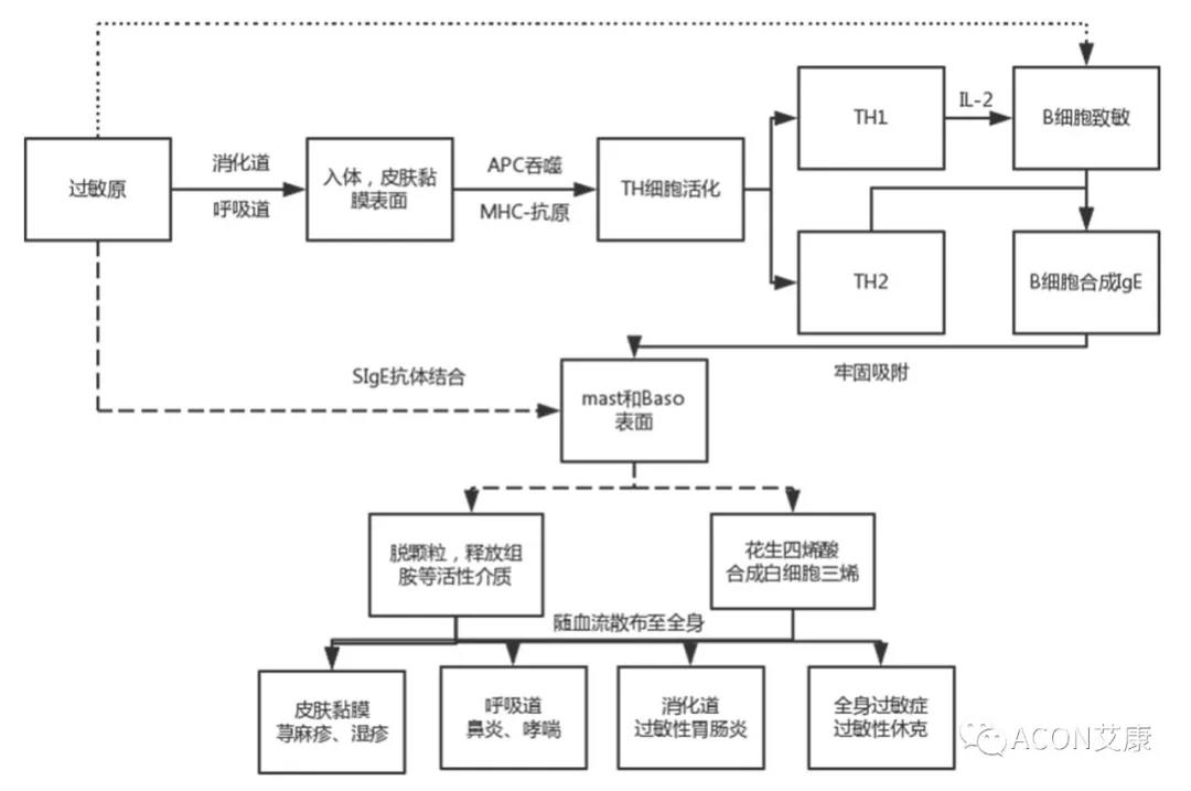APAAACI 2019 | 深入解讀過敏原：從診斷到治療，優(yōu)化過敏原診斷管理——艾康生物過敏原檢測分會
