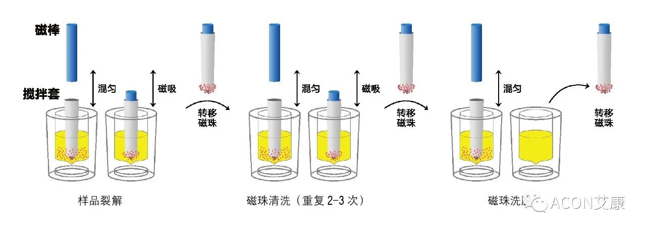 Promotor?核酸提純儀， 讓基因提純更便捷。