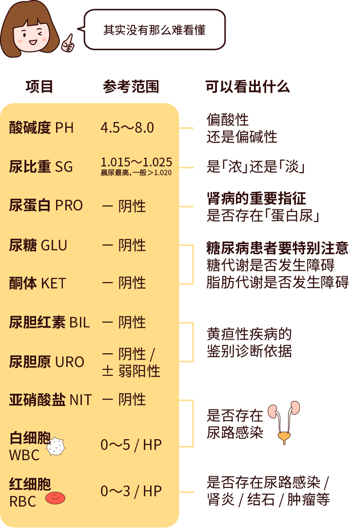 排尿黃、異味大，可能是身體在報警！