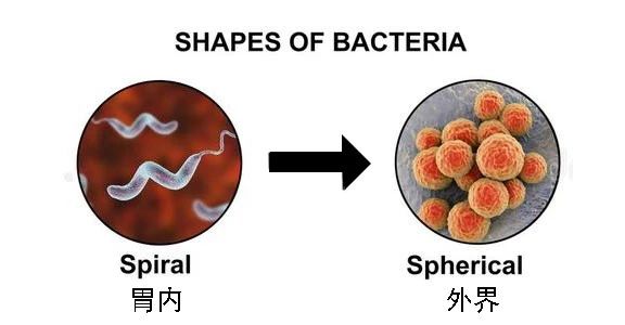 這種致癌物傳染性極強，50%中國人都有！很多人還不知道